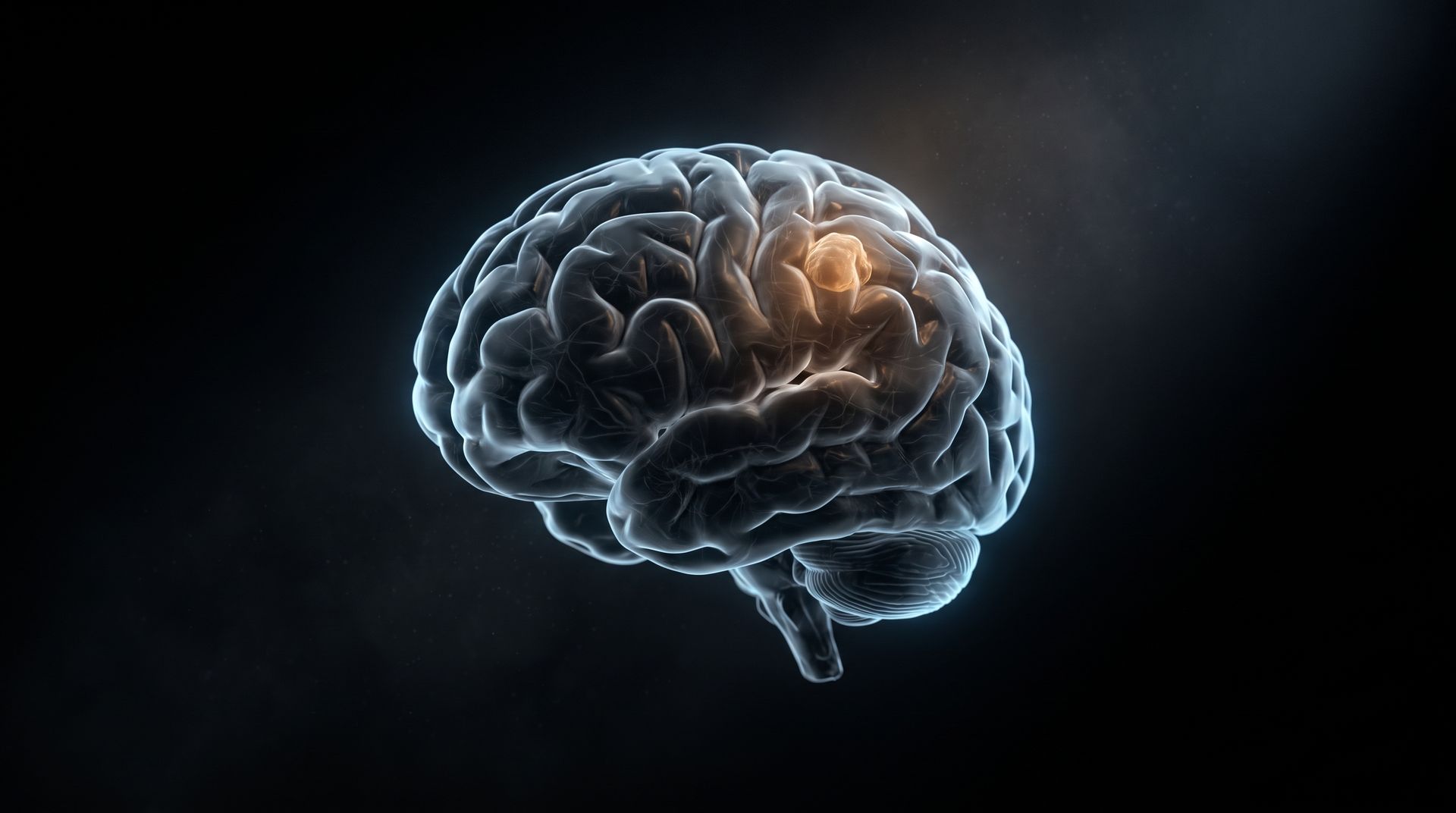 Tumor cerebral o meningioma: segunda opinión y neuronavegación